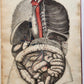 1823 SYSTEM of ANATOMICAL PLATES by John Lizars antique ILLUSTRATED w/ 24 plates