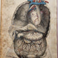 1823 SYSTEM of ANATOMICAL PLATES by John Lizars antique ILLUSTRATED w/ 24 plates