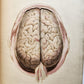1823 SYSTEM of ANATOMICAL PLATES by John Lizars antique ILLUSTRATED w/ 24 plates
