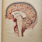 1823 SYSTEM of ANATOMICAL PLATES by John Lizars antique ILLUSTRATED w/ 24 plates