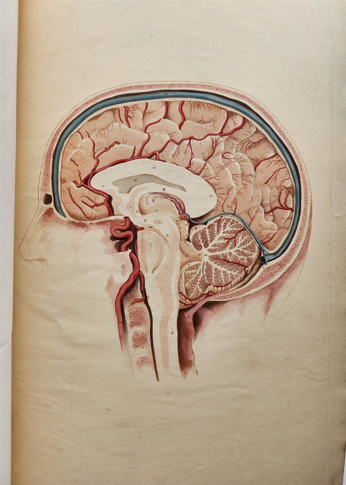 1823 SYSTEM of ANATOMICAL PLATES by John Lizars antique ILLUSTRATED w/ 24 plates