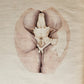 1823 SYSTEM of ANATOMICAL PLATES by John Lizars antique ILLUSTRATED w/ 24 plates