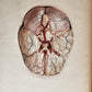 1823 SYSTEM of ANATOMICAL PLATES by John Lizars antique ILLUSTRATED w/ 24 plates