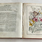 1749 Virgilius Maro BUCOLICKS of VIRGIL antique English translation ILLUSTRATED