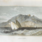 1853 VISIT to HOLY LAND EGYPT & ITALY by IDA PFEIFFER antique ILLUSTRATED