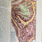 1889 SINAI and PALESTINE by Arthur Penrhyn Stanley antique ILLUSTRATED English