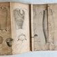 1797 PHARMACOPAIA in ENGLISH antique THE EDINBURGH NEW DISPENSATORY Scotland