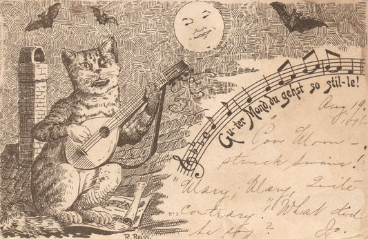 GERMANY SINGING CAT ANTIQUE POSTCARD