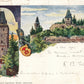 GERMANY BORG FRANKENSTEIN ANTIQUE POSTCARD