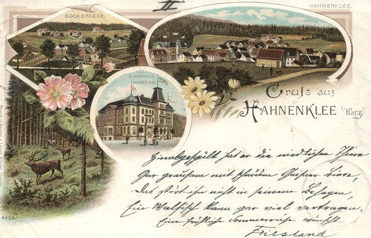 GERMANY GRUSS AUS HAHNENKLEE ANTIQUE POSTCARD