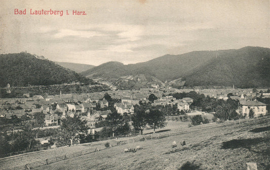 GERMANY BAD LAUTERBERG ANTIQUE POSTCARD