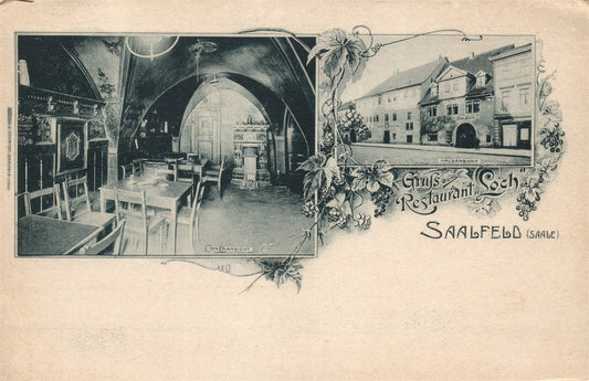 GERMANY SAALFELD RESTAURANT LOCH ANTIQUE POSTCARD