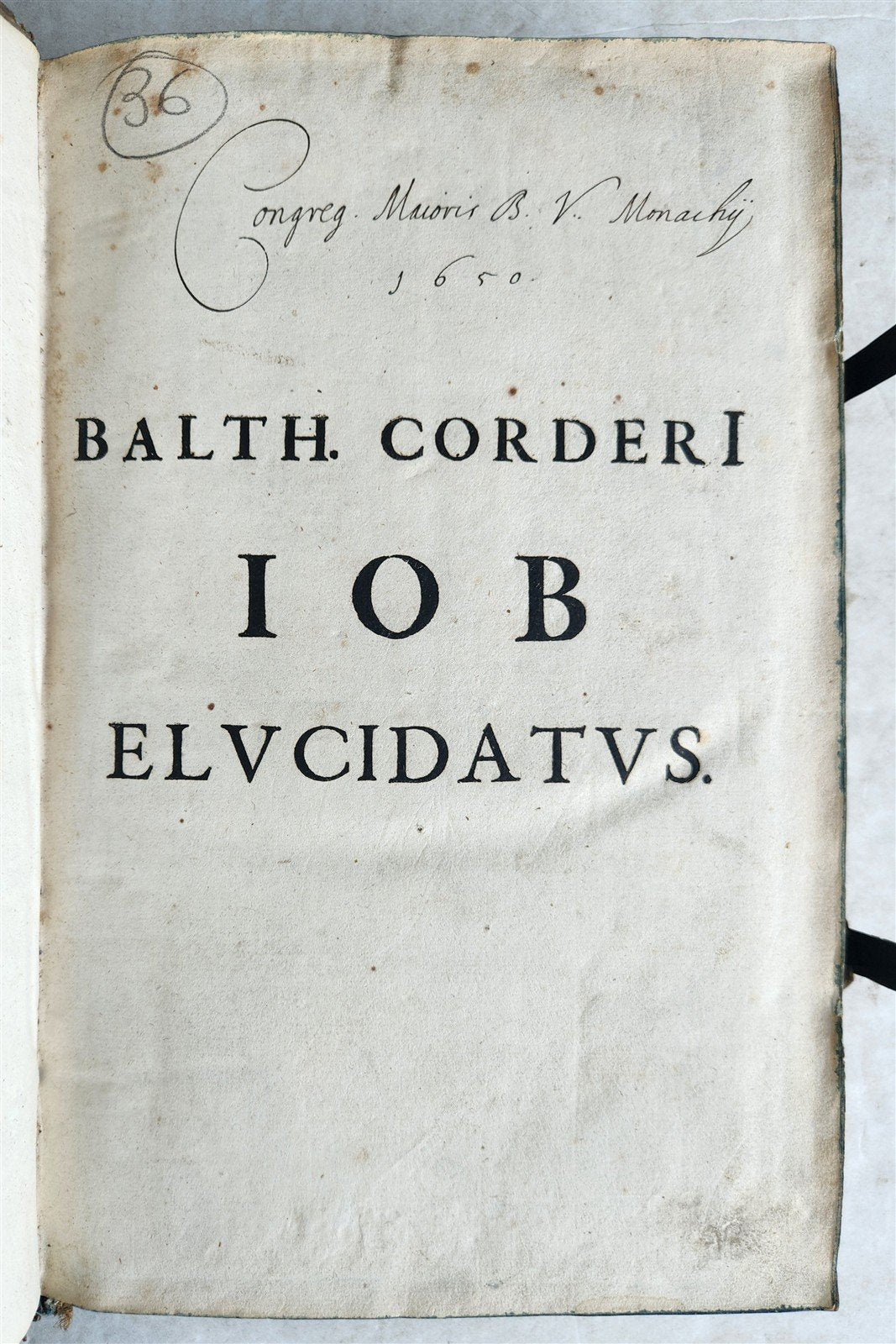 1646 BIBLE EXEGESIS of BOOK of JOB PIGSKIN BOUND FOLIO antique PLANTIN PRESS
