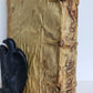 1558 ALDINE PRESS NATURAL HISTORY by Pliny the Younger VELLUM FOLIO antique