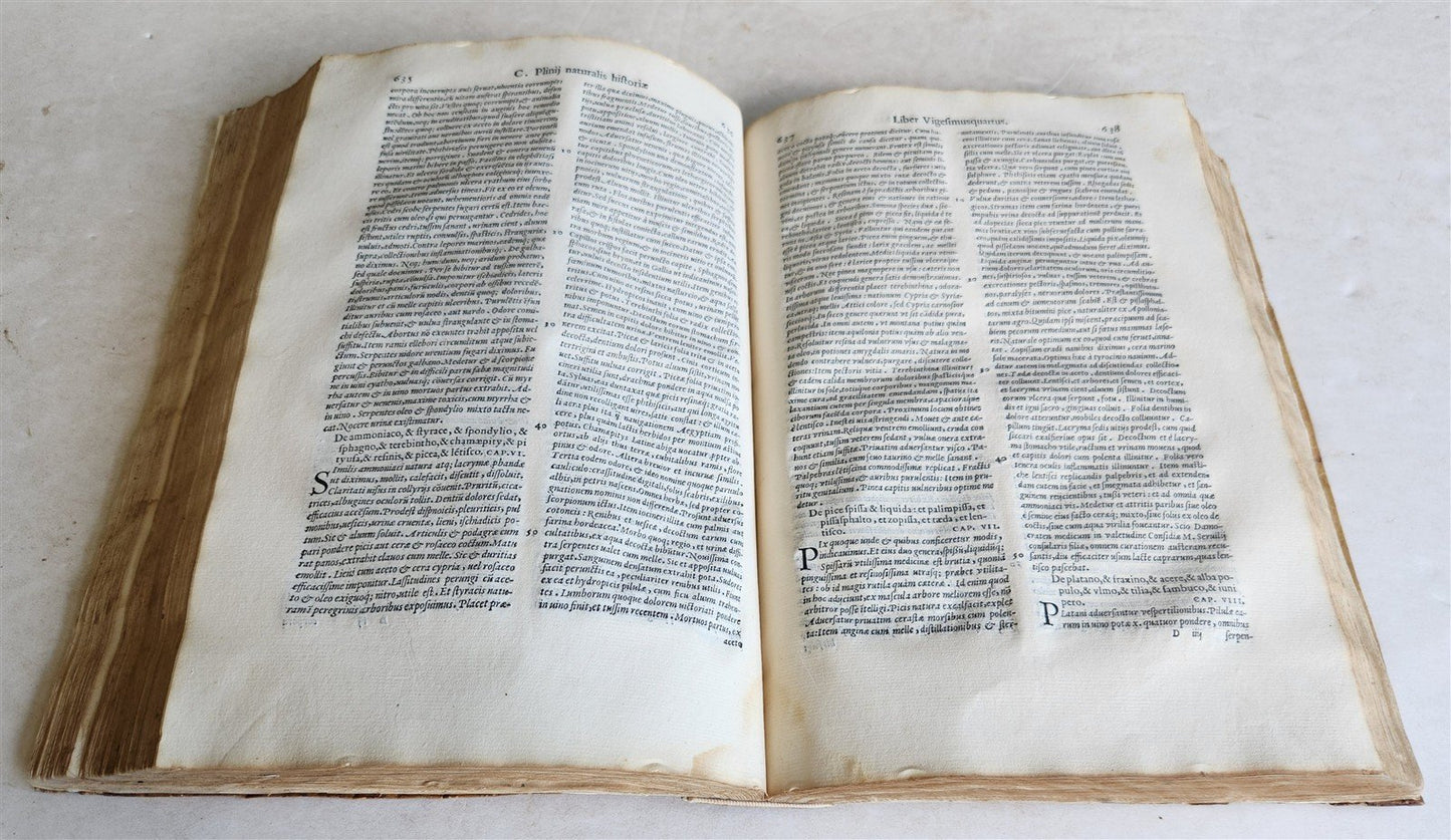 1558 ALDINE PRESS NATURAL HISTORY by Pliny the Younger VELLUM FOLIO antique