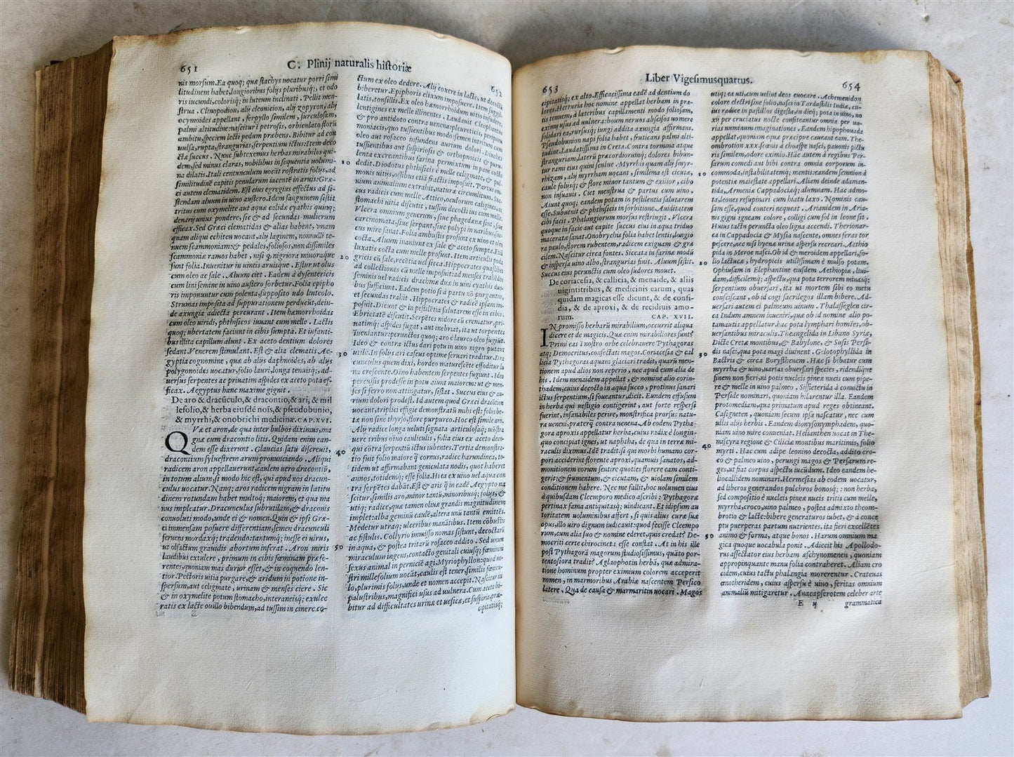 1558 ALDINE PRESS NATURAL HISTORY by Pliny the Younger VELLUM FOLIO antique