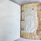 1558 ALDINE PRESS NATURAL HISTORY by Pliny the Younger VELLUM FOLIO antique