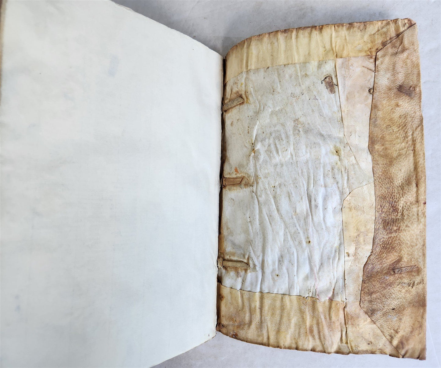 1558 ALDINE PRESS NATURAL HISTORY by Pliny the Younger VELLUM FOLIO antique