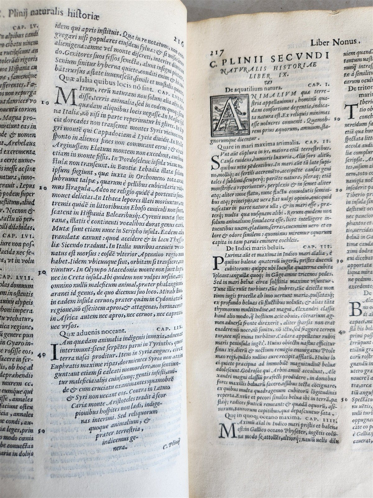 1558 ALDINE PRESS NATURAL HISTORY by Pliny the Younger VELLUM FOLIO antique