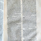 1558 ALDINE PRESS NATURAL HISTORY by Pliny the Younger VELLUM FOLIO antique