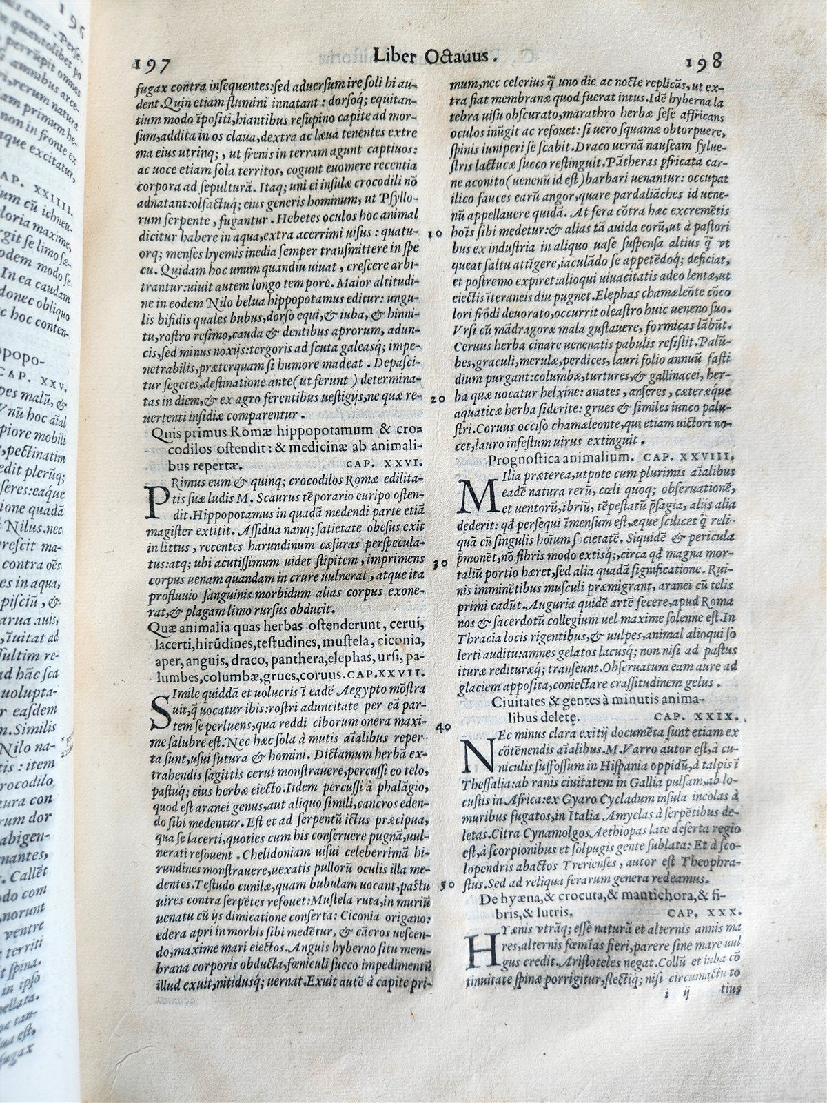1558 ALDINE PRESS NATURAL HISTORY by Pliny the Younger VELLUM FOLIO antique