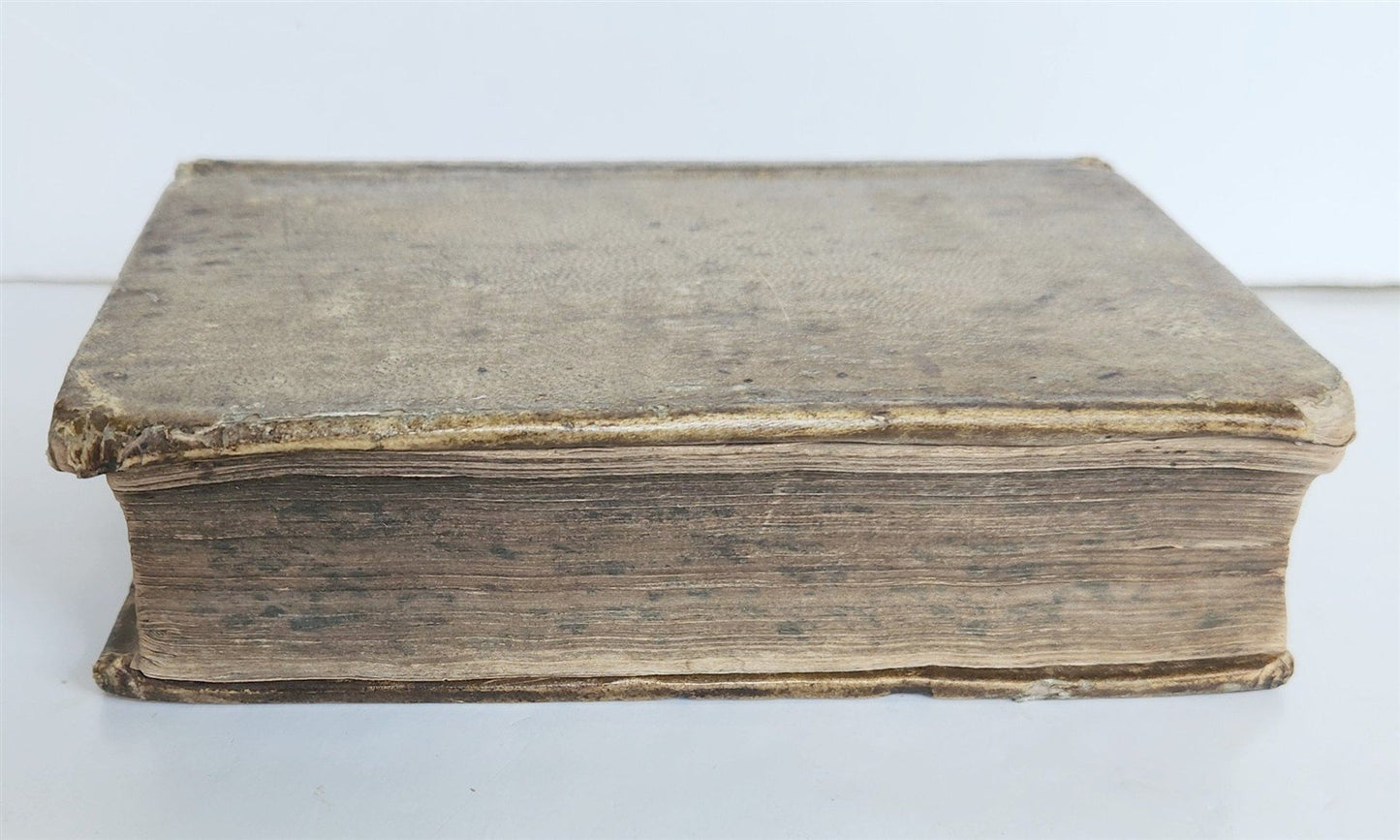 1571 ALDINE PRESS LATIN EPISTLES by Paolo Manuzio 16th CENTURY antique VELLUM
