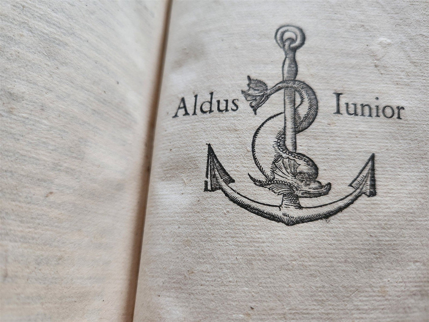 1571 ALDINE PRESS LATIN EPISTLES by Paolo Manuzio 16th CENTURY antique VELLUM