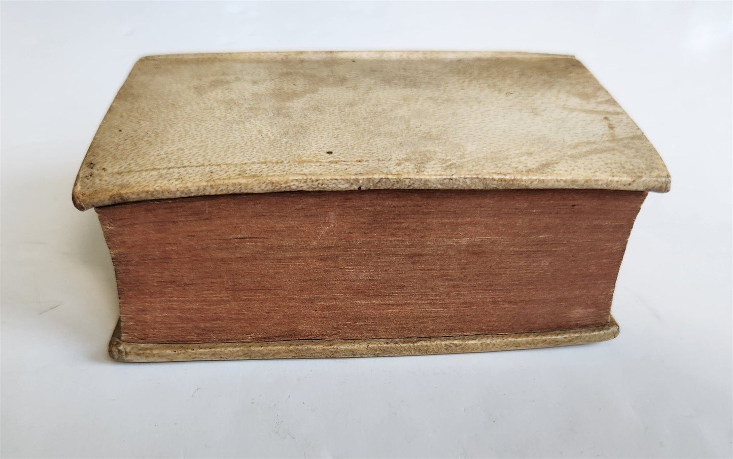 1559 TACITUS Annalium antique VELLUM BINDING Sebastian Gryphius Press