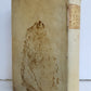 1546 ATTIC NIGHTS Aulus Gellius antique Noctes Atticae Sebastian Gryphius Press