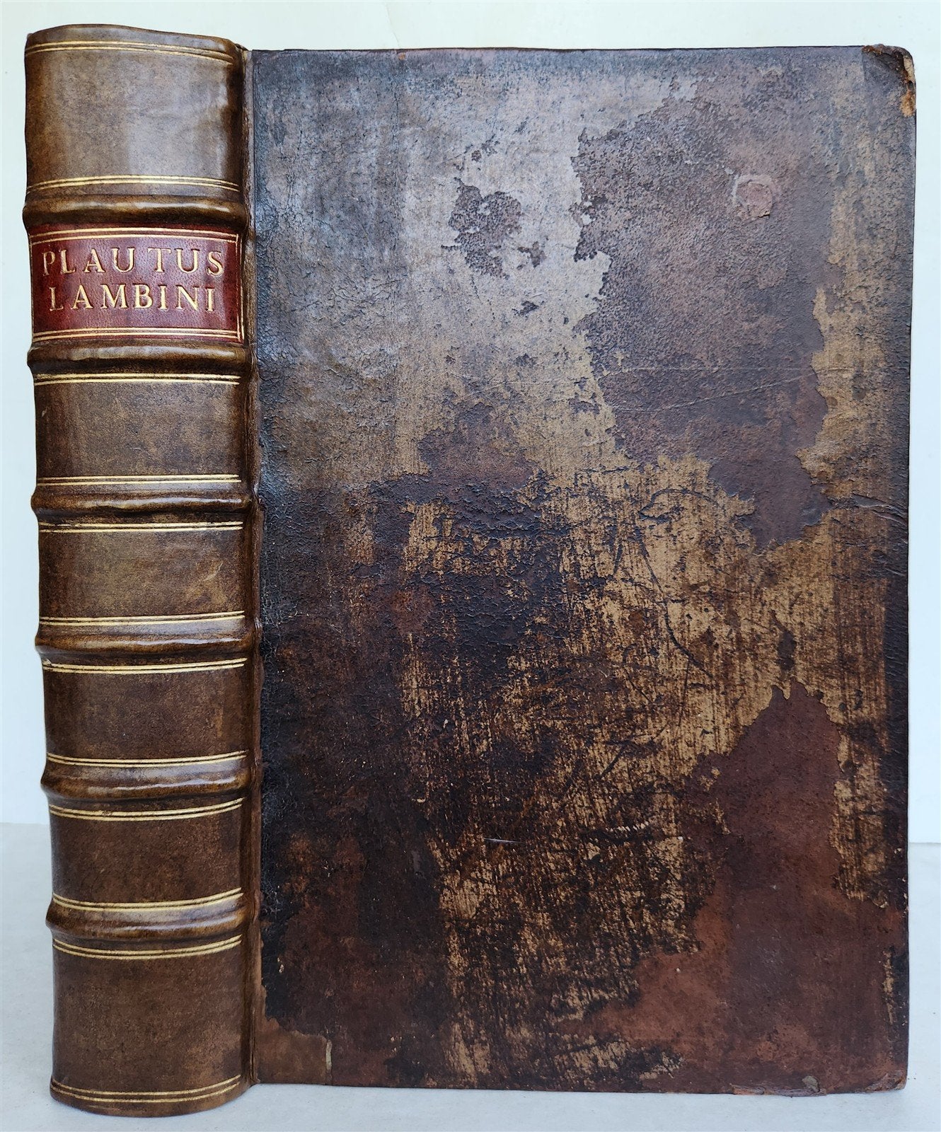 1577 COMEDIES by PLAUTUS Ex Fide, Atque Auctoritate FOLIO antique 16th CENTURY