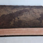 1577 COMEDIES by PLAUTUS Ex Fide, Atque Auctoritate FOLIO antique 16th CENTURY