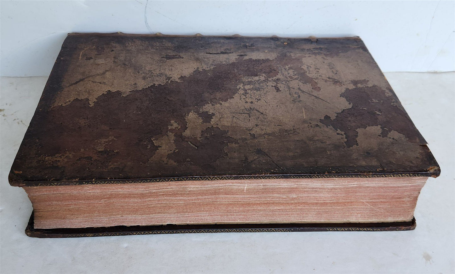 1577 COMEDIES by PLAUTUS Ex Fide, Atque Auctoritate FOLIO antique 16th CENTURY