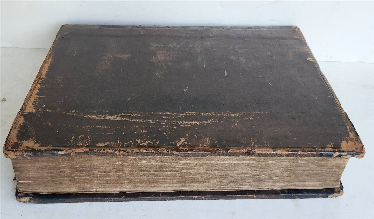 1548 Guillaume BUDÉS WORK ON GREEK LANGUAGE antique 16th century FOLIO