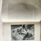 1903 EXPLORATIONS in BIBLE LANDS by H.V. Hilprecht ILLUSTRATED antique w/ 4 MAPS