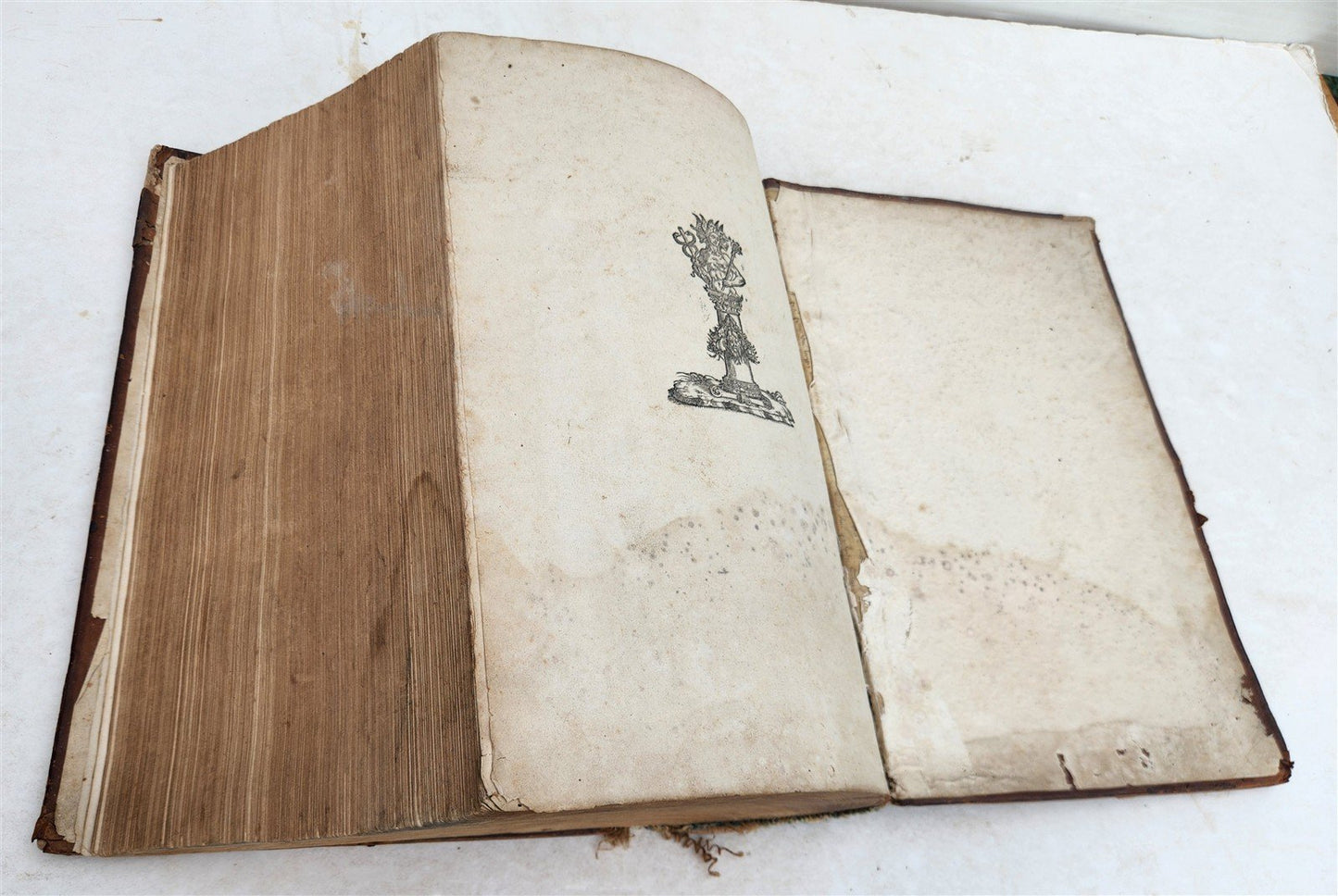 1572 DEMOSTHENES & AESCHINES WORKS antique MASSIVE FOLIO in Greek and Latin
