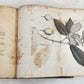 1800 BURMA ILLUSTRATED antique Account of Embassy to Kingdom of Ava in ENGLISH