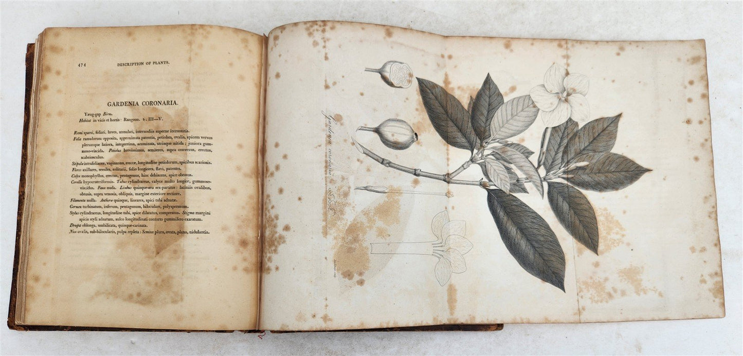 1800 BURMA ILLUSTRATED antique Account of Embassy to Kingdom of Ava in ENGLISH
