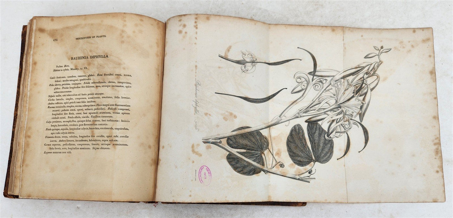 1800 BURMA ILLUSTRATED antique Account of Embassy to Kingdom of Ava in ENGLISH