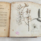1800 BURMA ILLUSTRATED antique Account of Embassy to Kingdom of Ava in ENGLISH