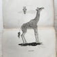 1790 VOYAGE to SOURCES of NILE NUBIA & ABYSSINIA antique ILLUSTRATED 6 VOLUMES