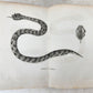 1790 VOYAGE to SOURCES of NILE NUBIA & ABYSSINIA antique ILLUSTRATED 6 VOLUMES