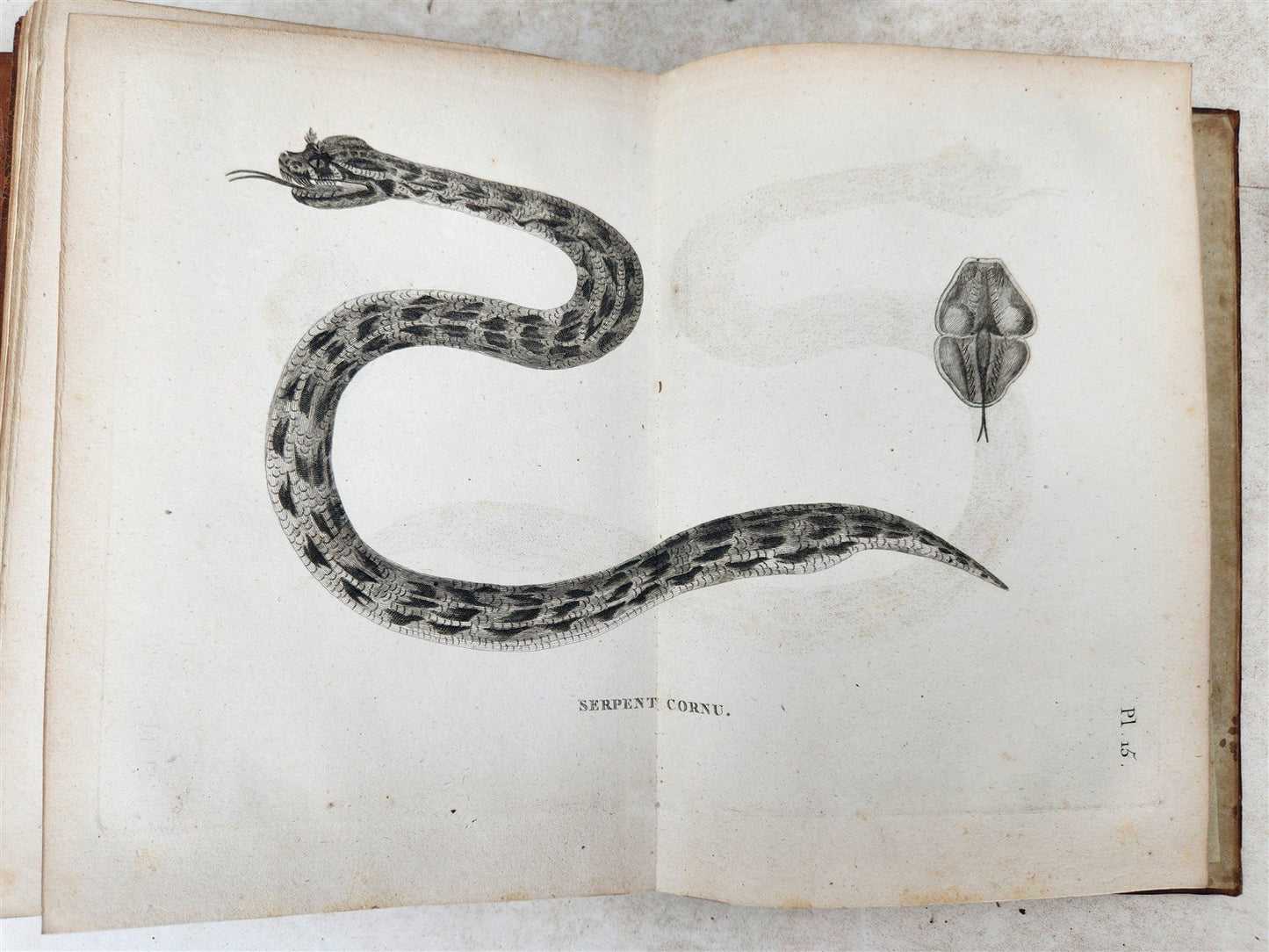 1790 VOYAGE to SOURCES of NILE NUBIA & ABYSSINIA antique ILLUSTRATED 6 VOLUMES