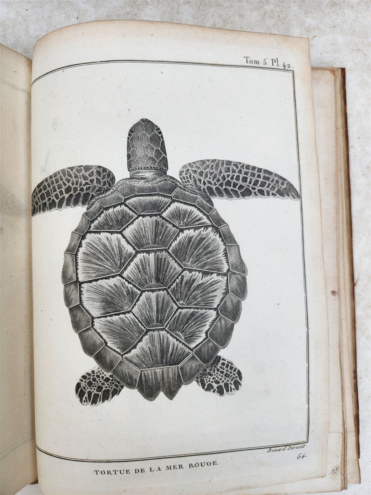1790 VOYAGE to SOURCES of NILE NUBIA & ABYSSINIA antique ILLUSTRATED 6 VOLUMES