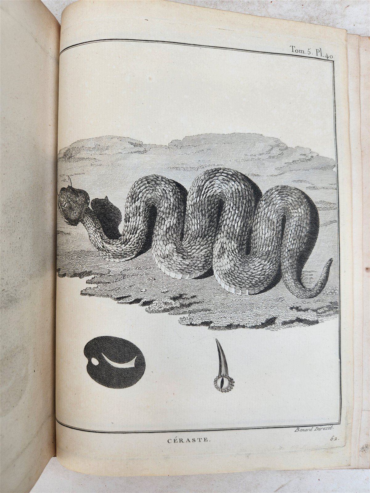 1790 VOYAGE to SOURCES of NILE NUBIA & ABYSSINIA antique ILLUSTRATED 6 VOLUMES