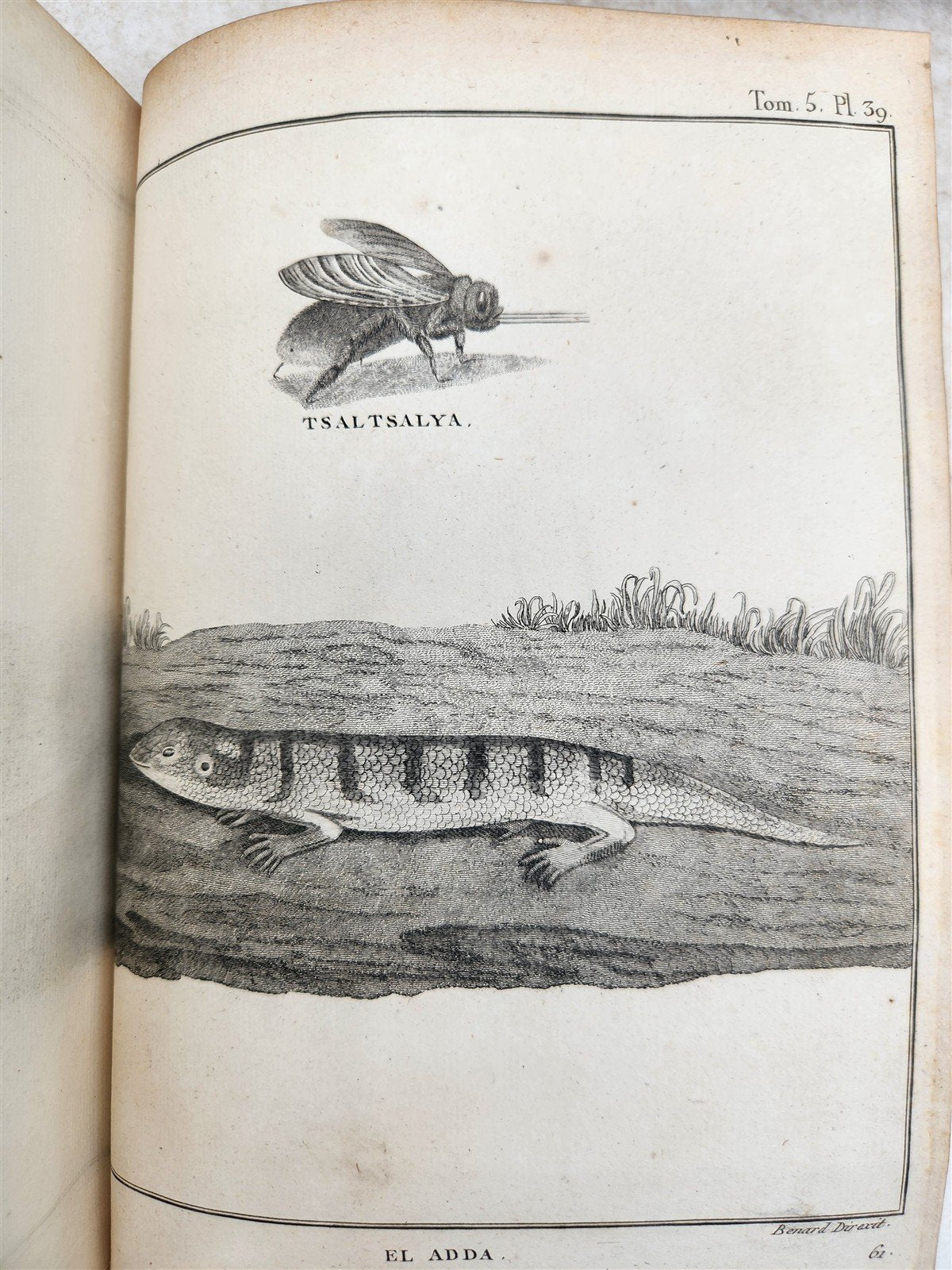 1790 VOYAGE to SOURCES of NILE NUBIA & ABYSSINIA antique ILLUSTRATED 6 VOLUMES