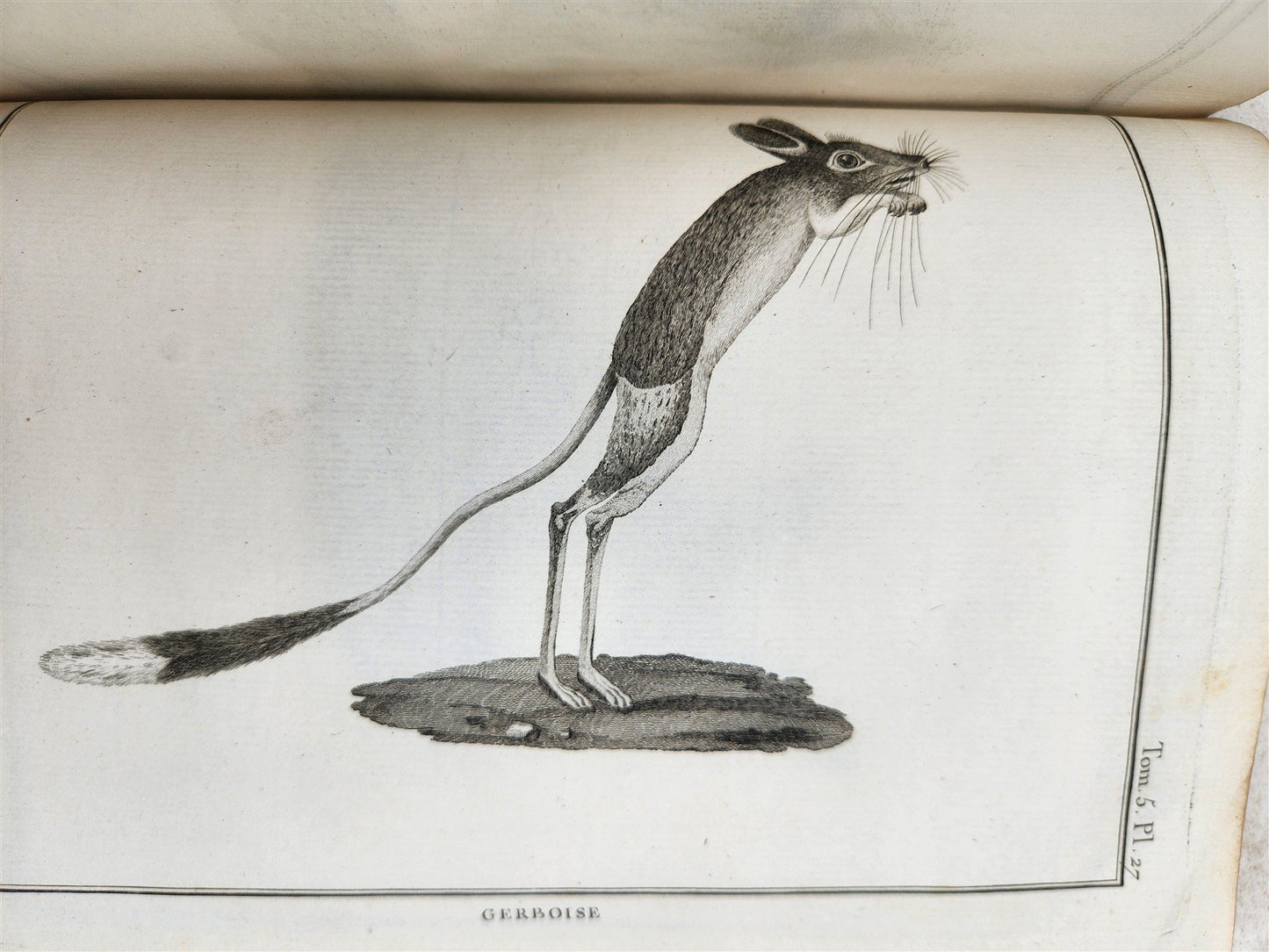 1790 VOYAGE to SOURCES of NILE NUBIA & ABYSSINIA antique ILLUSTRATED 6 VOLUMES