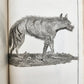 1790 VOYAGE to SOURCES of NILE NUBIA & ABYSSINIA antique ILLUSTRATED 6 VOLUMES