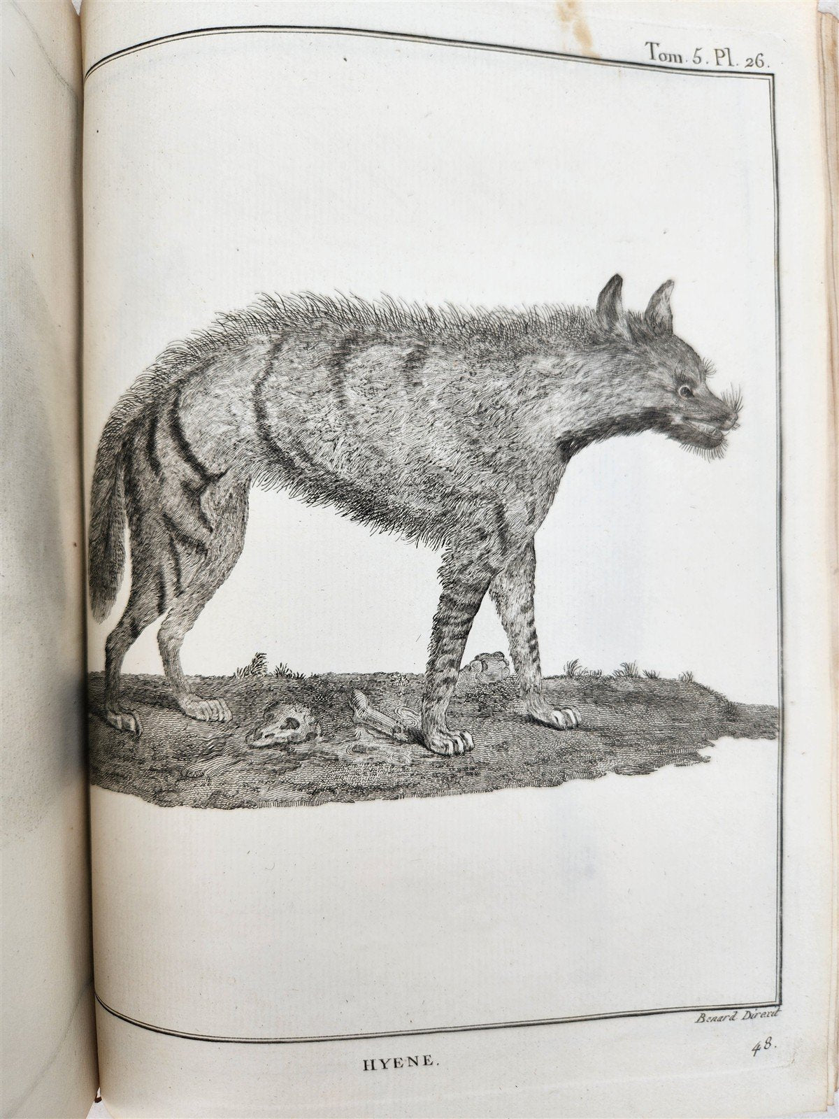 1790 VOYAGE to SOURCES of NILE NUBIA & ABYSSINIA antique ILLUSTRATED 6 VOLUMES