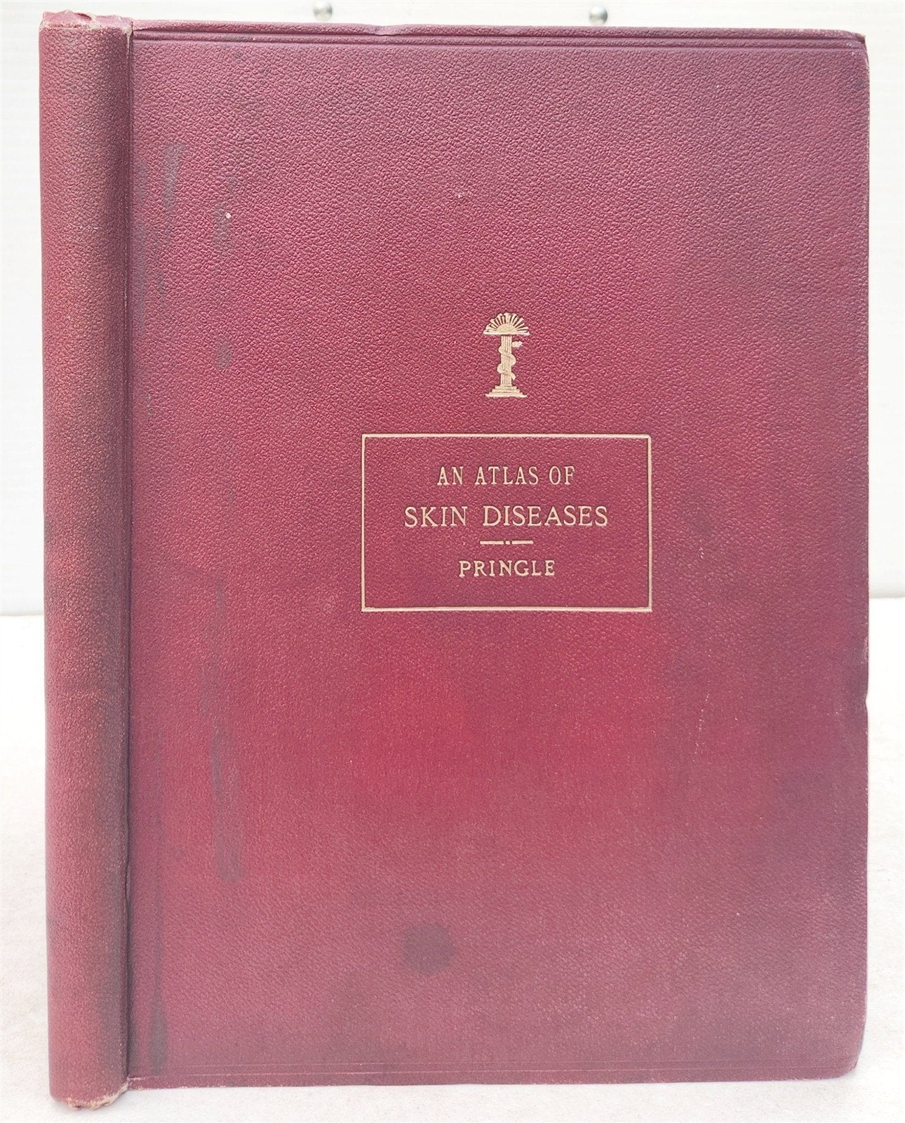 1895 PICTORIAL ATLAS of SKIN DISEASES & SYPHILITIC AFFECTION antique ILLUSTRATED