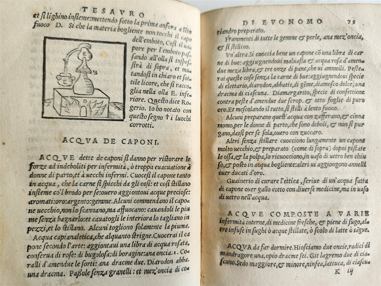 1556 SECRET REMEDIES CONRAD GESNER antique pharmaceutical alchemical ILLUSTRATED
